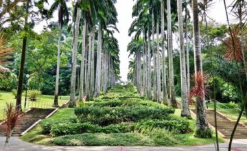 hillock-green-condo-by-lentor-central-development-near-ang-mo-kio-town-garden-west-singapore